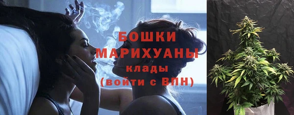 ГАЛЛЮЦИНОГЕННЫЕ ГРИБЫ Беломорск