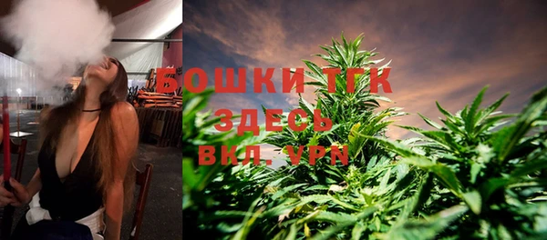ГАЛЛЮЦИНОГЕННЫЕ ГРИБЫ Беломорск