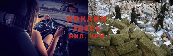 шишки Пересвет