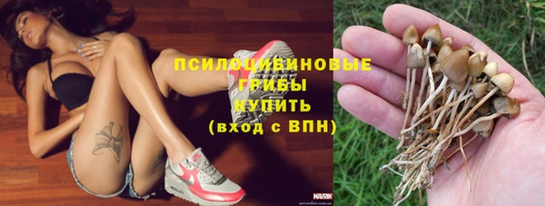ГАЛЛЮЦИНОГЕННЫЕ ГРИБЫ Беломорск