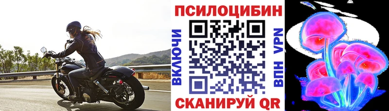 Псилоцибиновые грибы Psilocybine cubensis Мглин