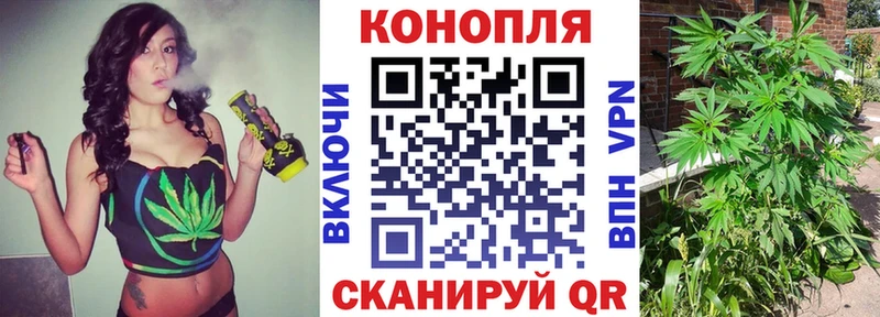 Конопля Ganja Мглин